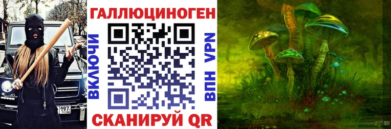 Галлюциногенные грибы Psilocybe  купить  цена  Будённовск 